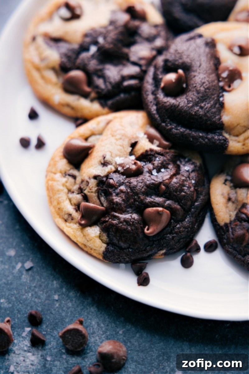 Close-up of baked Brookies on a plate, showing the distinct layers of brownie and chocolate chip cookie.