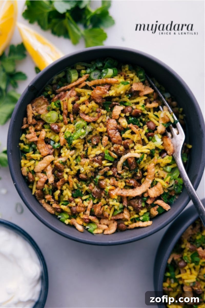 Overhead image of a beautifully plated Mujadara, showcasing the golden caramelized onions atop the savory rice and lentil mixture.