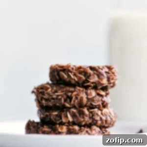 Guilt Free No Bake Delights 3 Healthy No-Bake Cookies recipe image