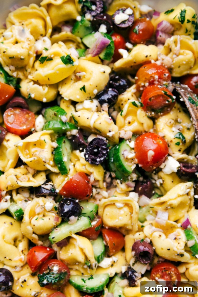 Greek salad tortellini mixed with fresh cucumbers, tomatoes, olives, and delicious homemade dressing.