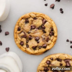 Personal Chocolate Chip Cookie 4 Single Serve Chocolate Chip Cookie baked and ready to be enjoyed.