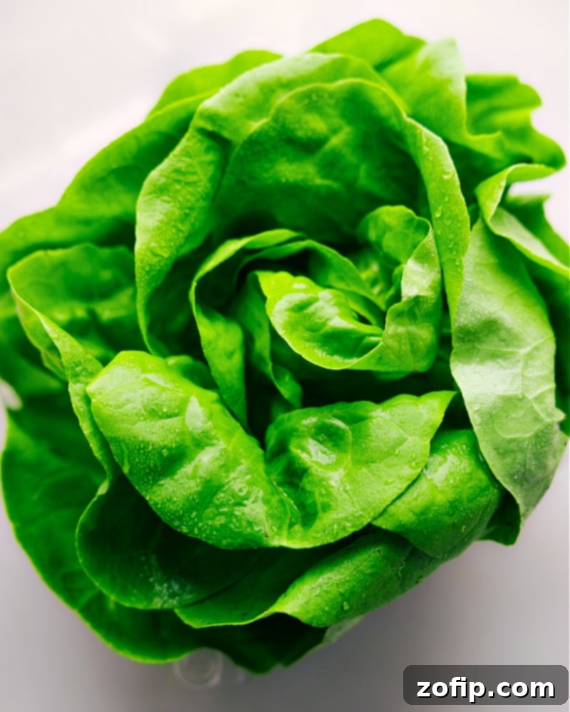 The freshest butter lettuce, perfect for creating delicious and healthy Turkey Lettuce Wraps. A nourishing meal packed with lean protein and fresh flavors. Overhead shot of crisp green butter lettuce leaves, perfectly cleaned and ready to be filled, highlighting their ideal shape and freshness for making Turkey Lettuce Wraps.