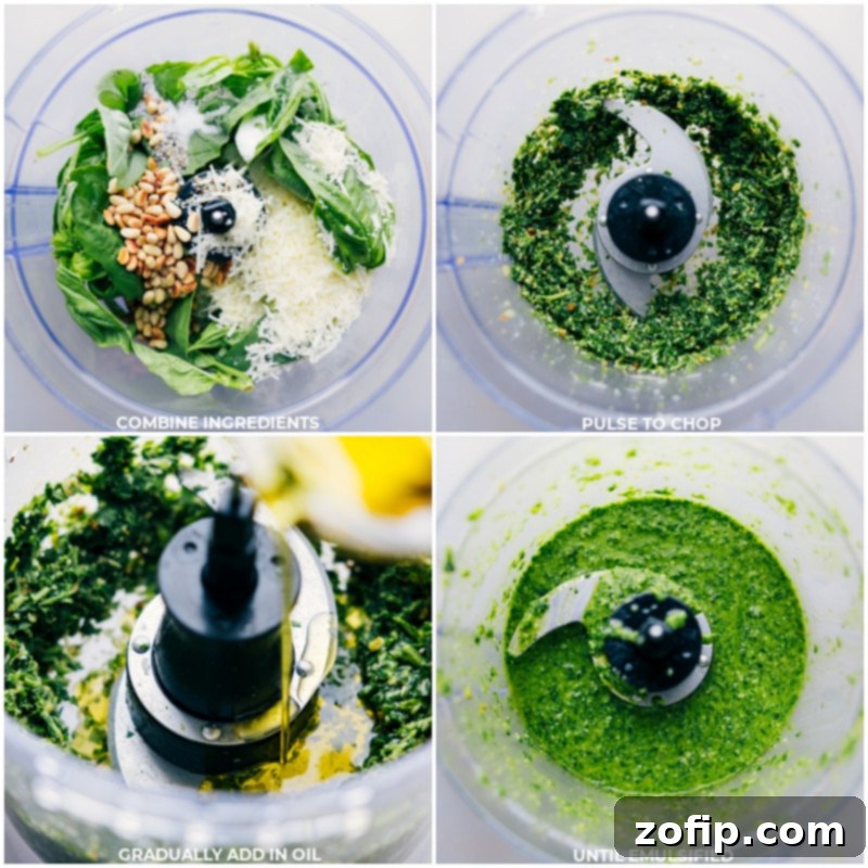 Process shots demonstrating the making of Pesto Recipe, with all ingredients combined in a food processor and being pulsed into a smooth, vibrant green sauce.