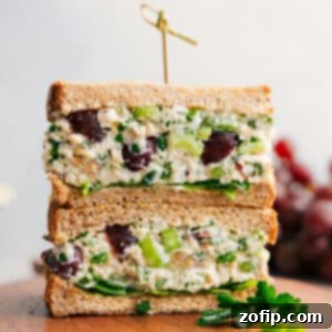 Healthy Chicken Salad ready to be served