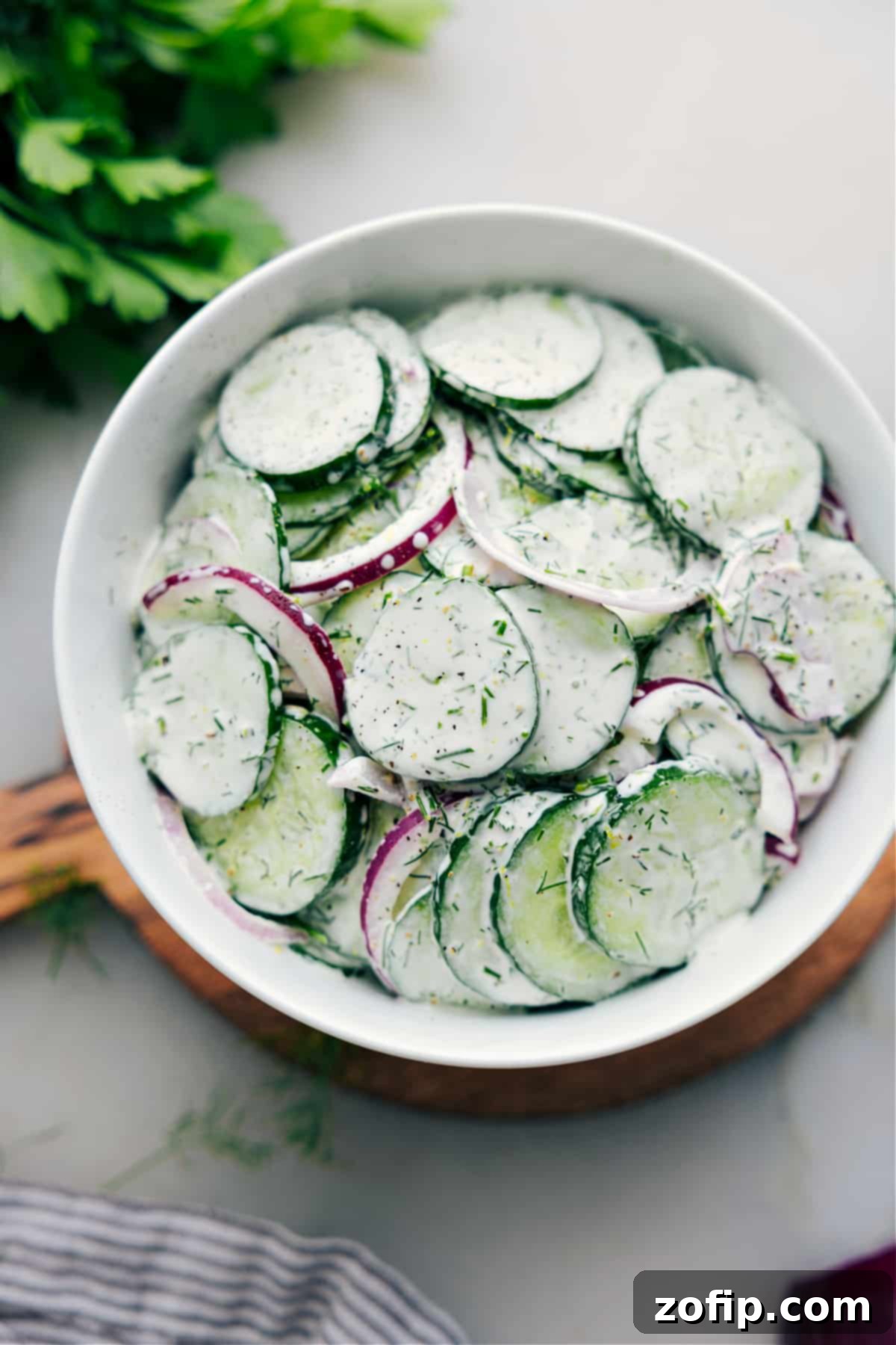 A serving of creamy cucumber salad, garnished with fresh dill, ready to be enjoyed as a refreshing side dish.
