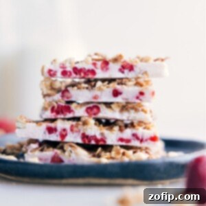 Finished Yogurt Bark pieces with raspberry swirls and various toppings