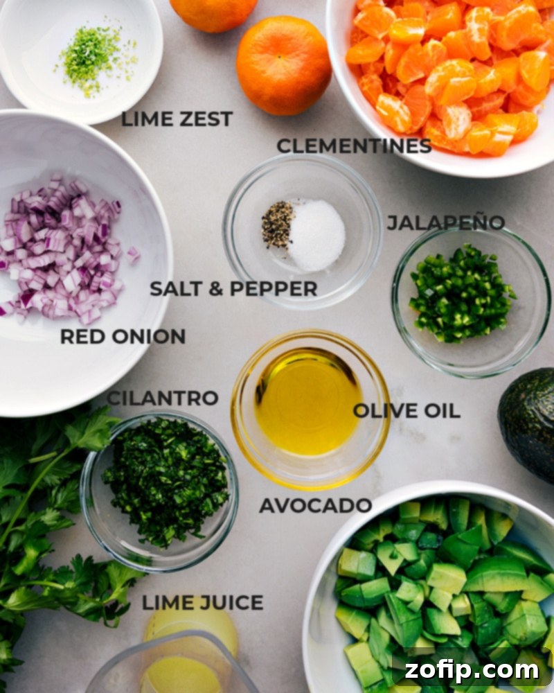 Key ingredients for Avocado-Orange Salsa: creamy avocado, tangy mandarin, and fresh aromatics. Recipe via chelseasmessyapron #healthy #quick #easy #simple #sidedish #chips #dipandchips #summer #bbq #avocado #orange #salsa A close-up image showing all fresh ingredients for Avocado-Orange Salsa laid out: mandarin oranges, avocados, red onion, jalapeño, cilantro, limes, and olive oil.