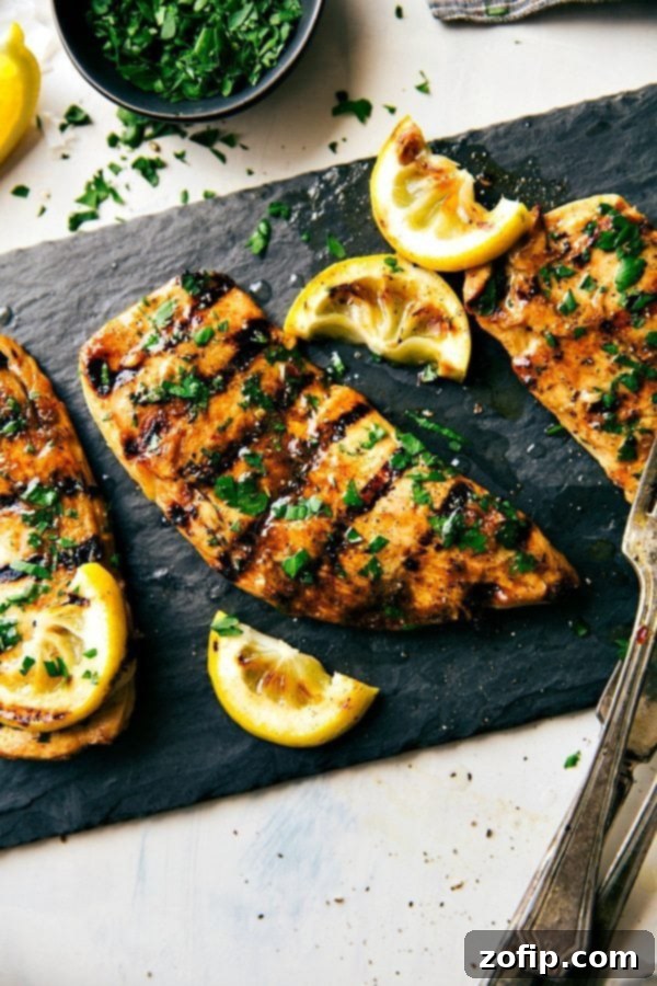 Grilled Chicken with Marinade and Fresh Herbs Perfectly grilled chicken covered in a rich, flavorful marinade, garnished with fresh herbs, ready to be enjoyed.