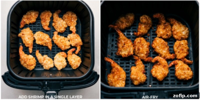 Air Frying Coconut Shrimp for Salad: Achieve perfect crispiness and flavor with this quick cooking method. Process shots demonstrating how to air fry coconut shrimp: frozen shrimp laid in a single layer in the air fryer basket, then cooked until golden and crispy.
