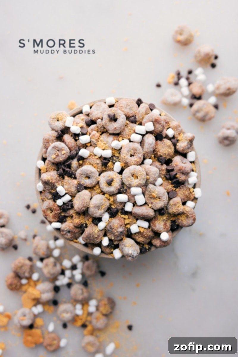 S'mores Muddy Buddies in a bowl ready to be served and enjoyed, showcasing the chocolate-coated cereal, marshmallows, and graham cracker dust.