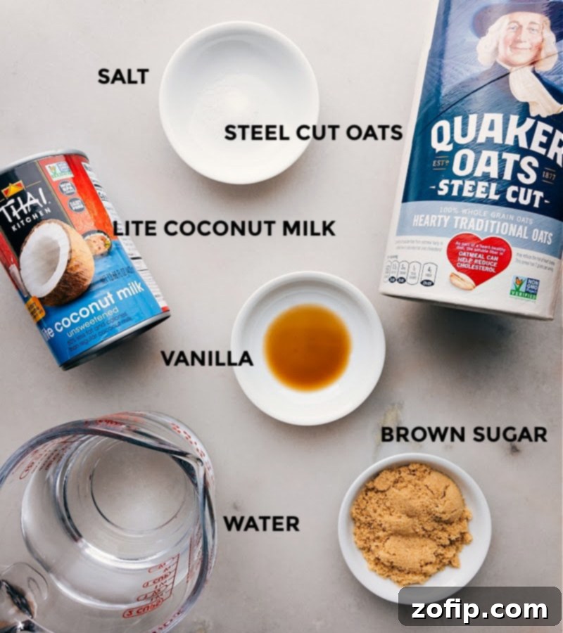 Arrangement of fresh ingredients for Instant Pot Oatmeal, including coconut milk, steel-cut oats, brown sugar, vanilla, and cinnamon.