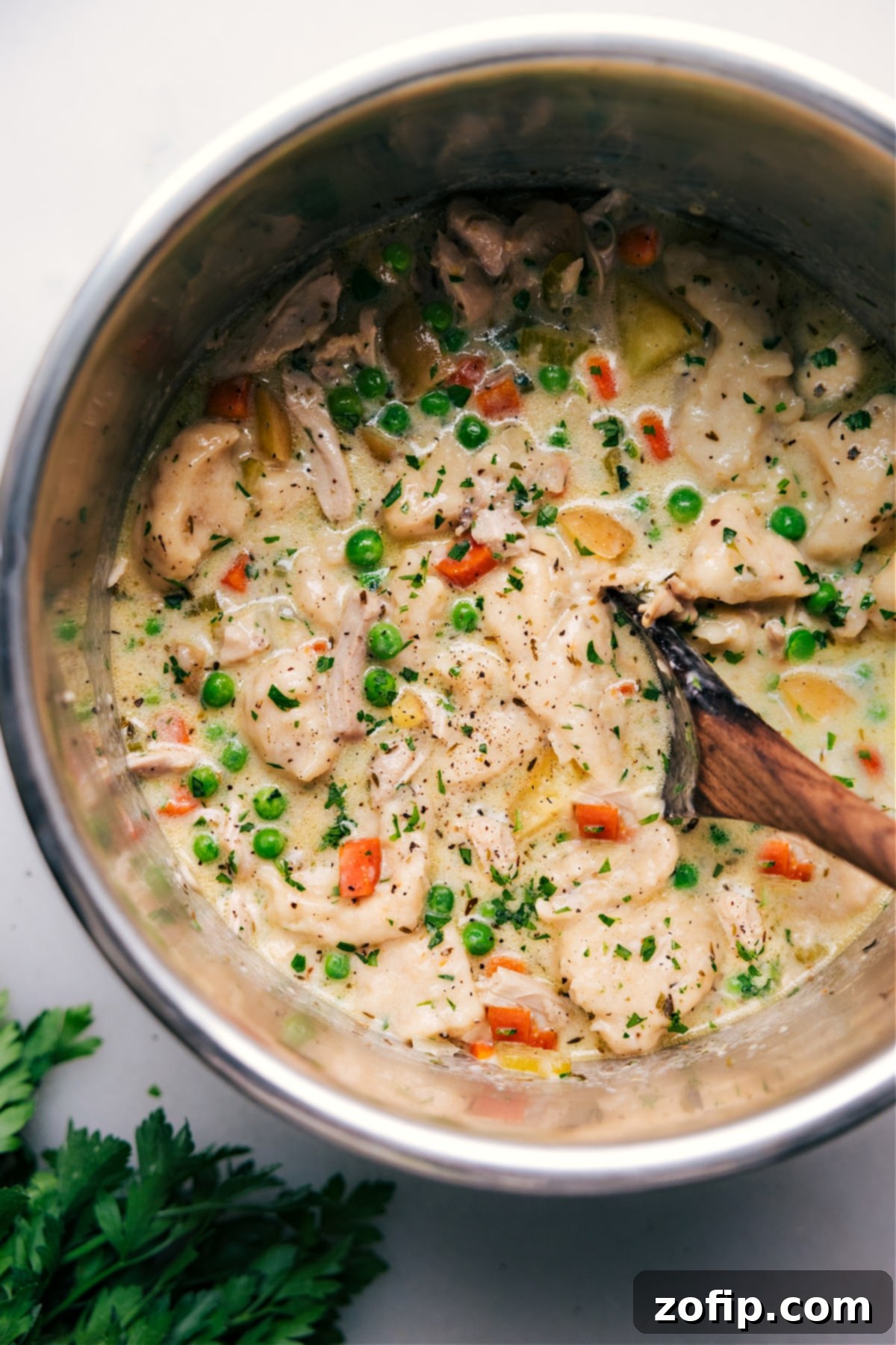 Instant Pot Chicken and Dumplings - Top View A delicious bowl of Instant Pot Chicken and Dumplings, with tender chicken and fluffy dumplings visible.