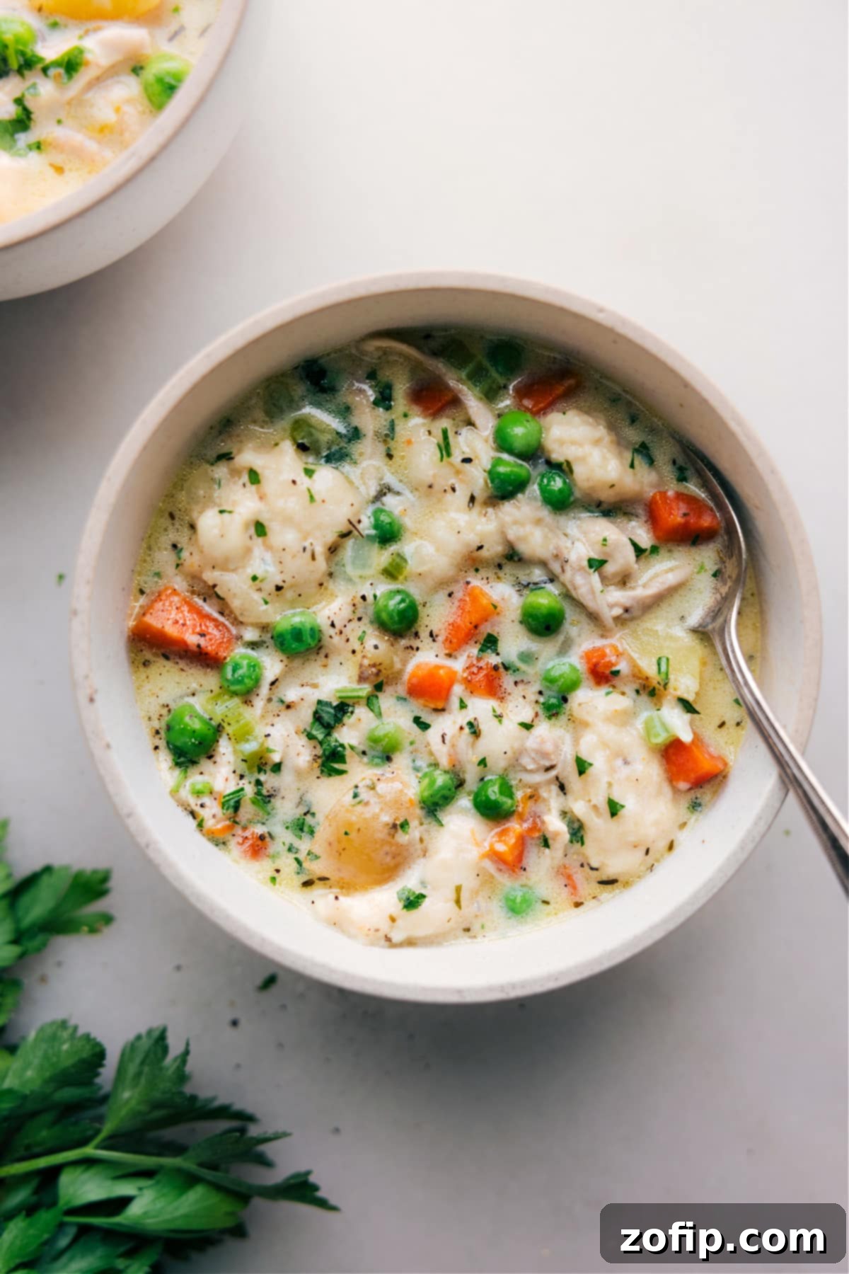 Ready-to-Eat Instant Pot Chicken and Dumplings Bowl A perfectly portioned bowl of Instant Pot Chicken and Dumplings, garnished with fresh parsley and ready to be enjoyed.