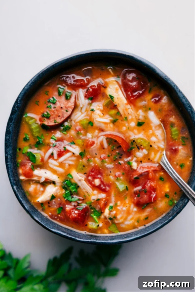 Overhead image of a bowl filled with Instant Pot Chicken, Sausage, and Rice, showcasing the colorful ingredients.