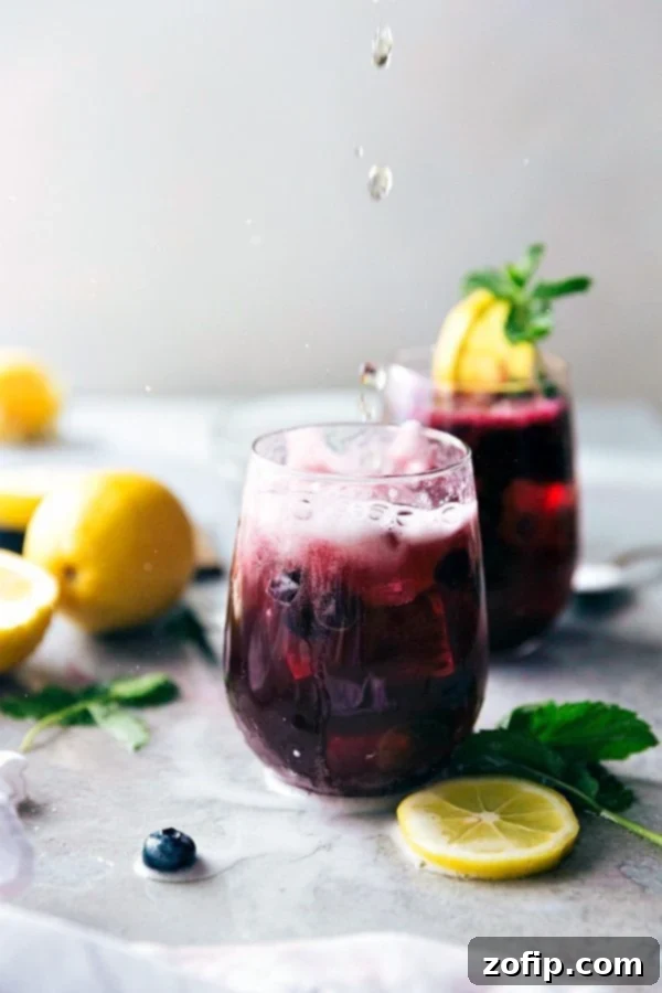 A tall glass of vibrant sparkling blueberry lemonade, garnished with fresh blueberries and lemon slices, sitting on a wooden surface outdoors, perfect for a refreshing summer treat.