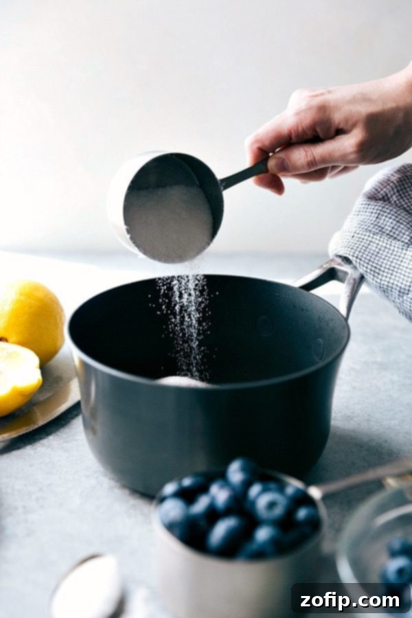 A large glass pitcher filled with homemade sparkling blueberry lemonade, showcasing floating fresh blueberries and thin lemon slices, ready to be poured.