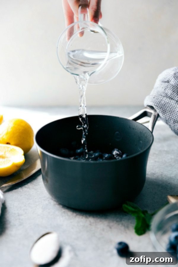 Two glasses of sparkling blueberry lemonade, garnished with blueberries and lemon, alongside a pitcher, suggesting a refreshing moment.