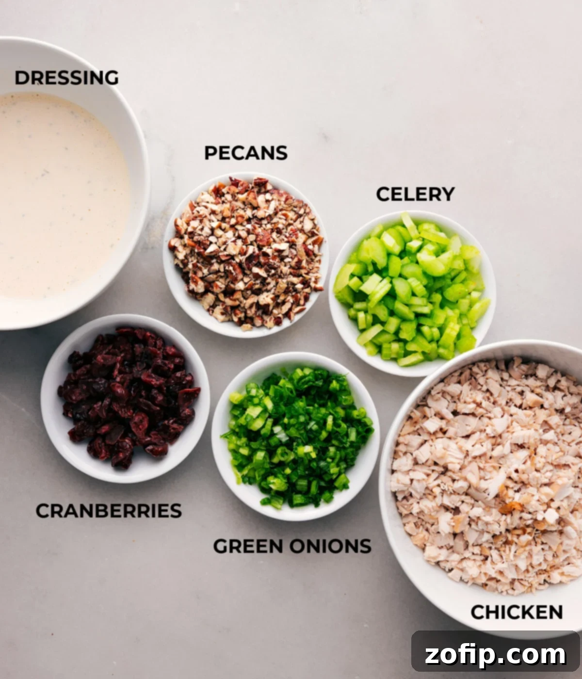 Assembled ingredients for flavorful Rosemary Chicken Salad A vibrant flat lay showcasing all the fresh and high-quality ingredients required for the Rosemary Chicken Salad, including succulent chicken, dried cranberries, crisp celery, aromatic green onions, and crunchy pecans, ready for preparation.