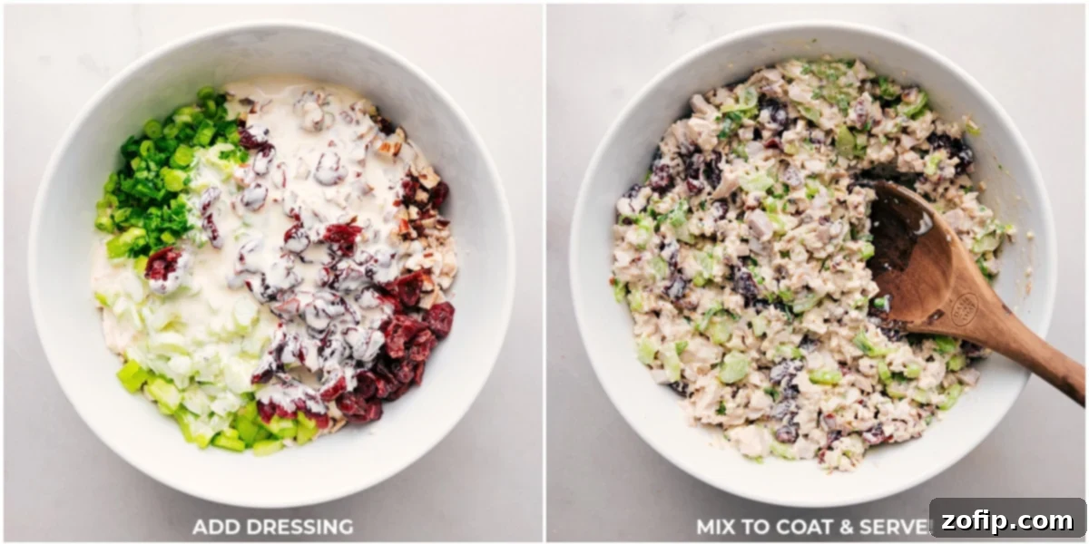 Mixing creamy dressing for a perfectly coated Rosemary Chicken Salad A close-up shot of the creamy, freshly prepared dressing being thoroughly mixed into the vibrant components of the chicken salad, ensuring every piece of chicken, cranberry, and pecan is perfectly coated and infused with flavor.