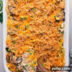 A finished dish of delicious turkey tetrazzini, showcasing the crisp top and the mouthwatering interior.