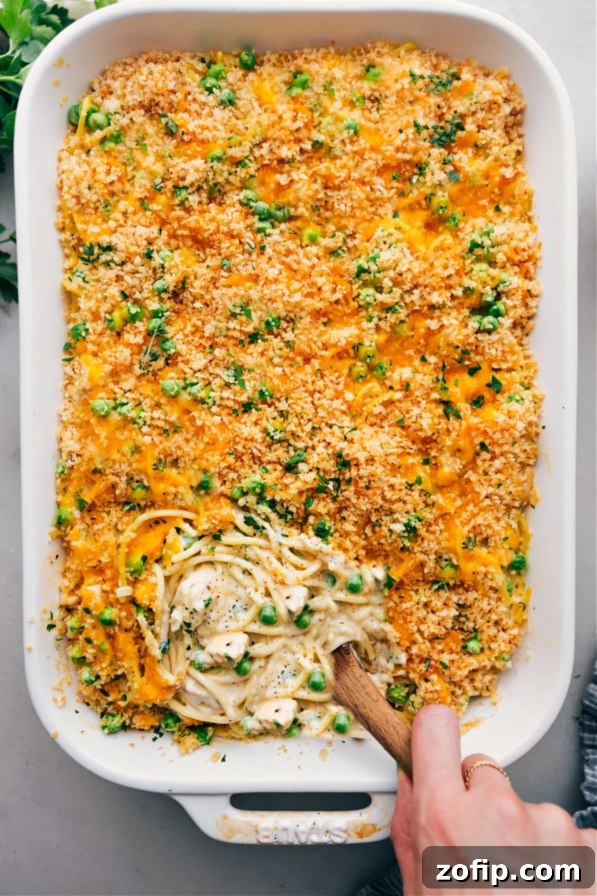 Delicious casserole of chicken tetrazzini with a crispy, flavorful top ready to be enjoyed.