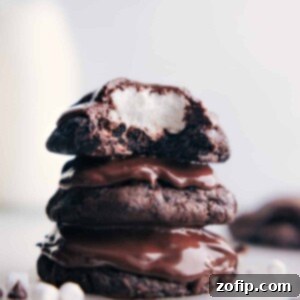 Finished Chocolate Marshmallow Cookies on a plate.