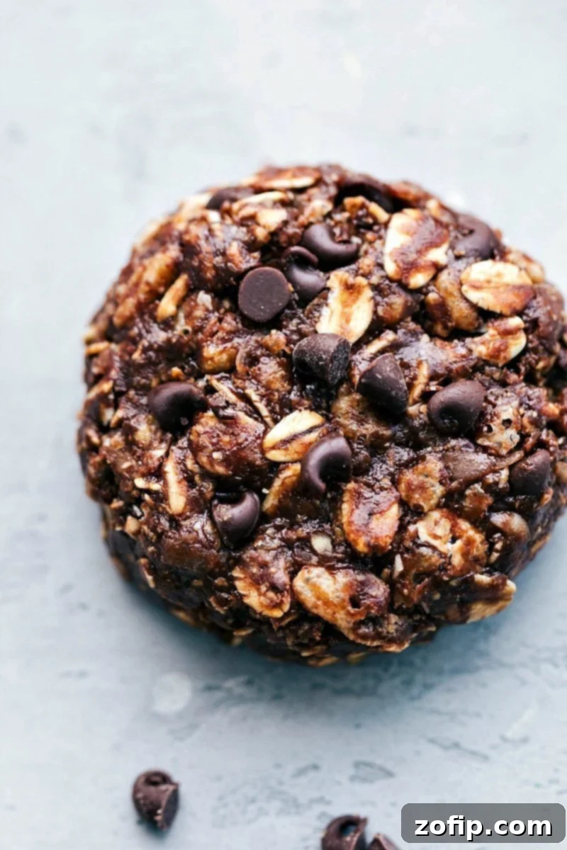 Delicious no-bake chocolate peanut butter breakfast cookies ready for a healthy morning