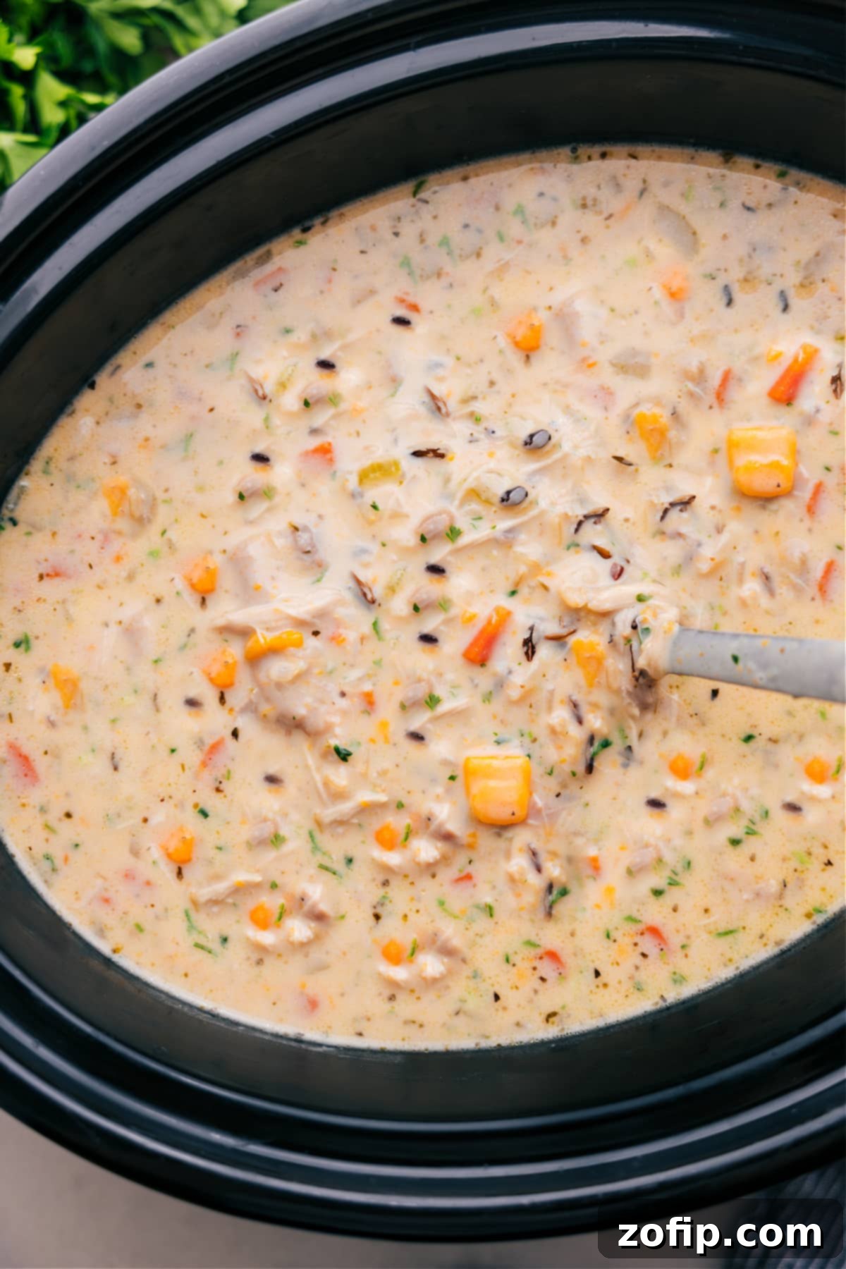 A close-up of a serving of Crockpot Chicken Wild Rice Soup, perfectly cooked and ready to be enjoyed, highlighting its rich, creamy texture and hearty ingredients.