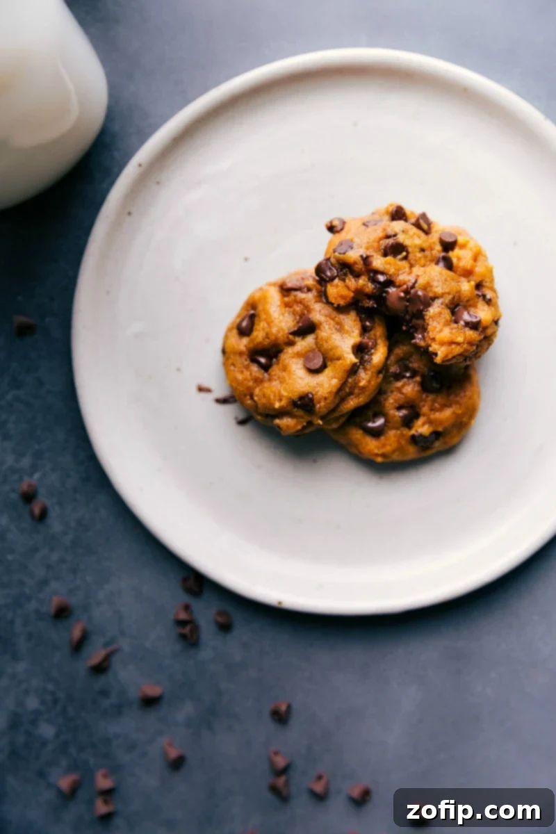 Warm and Delicious Soft Pumpkin Cookies with Chocolate Chips on a Plate Soft pumpkin cookies on a plate with warm, melting chocolate chips, delicious and ready to be eaten. A perfect fall dessert.