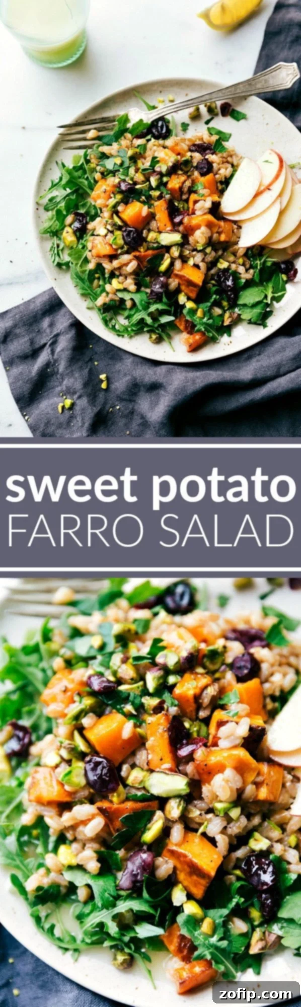 Roasted Sweet Potato Farro Salad 2 ROASTED SWEET POTATO SALAD. A hearty, healthy, and filling salad -- sweet apple cider farro, roasted sweet potatoes, arugula, and an easy blender lemon dressing. via chelseasmessyapron.com