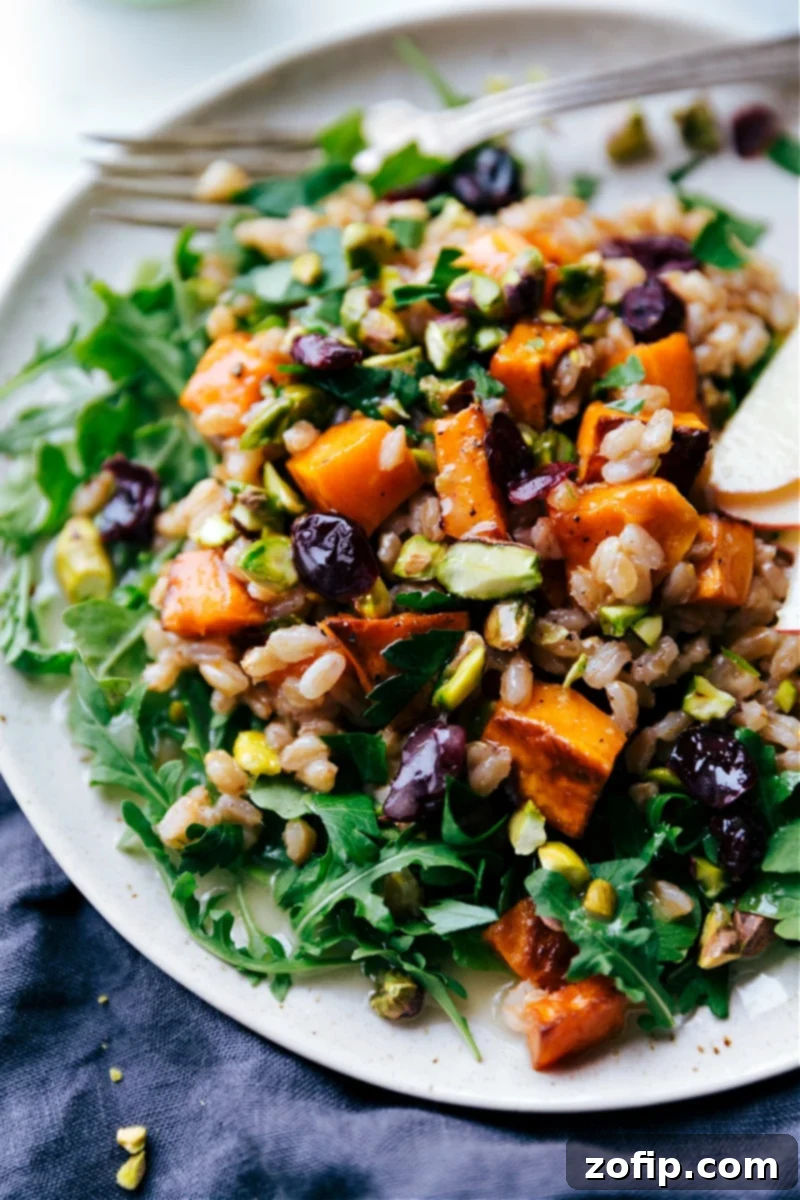 Sweet Potato Farro Salad: A delicious and healthy vegetarian side dish perfect for any occasion. Overhead image of the Sweet Potato-Farro Salad with roasted sweet potatoes, farro, arugula, cranberries, and pistachios.