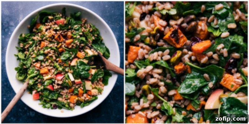 Roasted Sweet Potato Farro Salad 3 Final toss of the Sweet Potato Farro Salad with dressing.