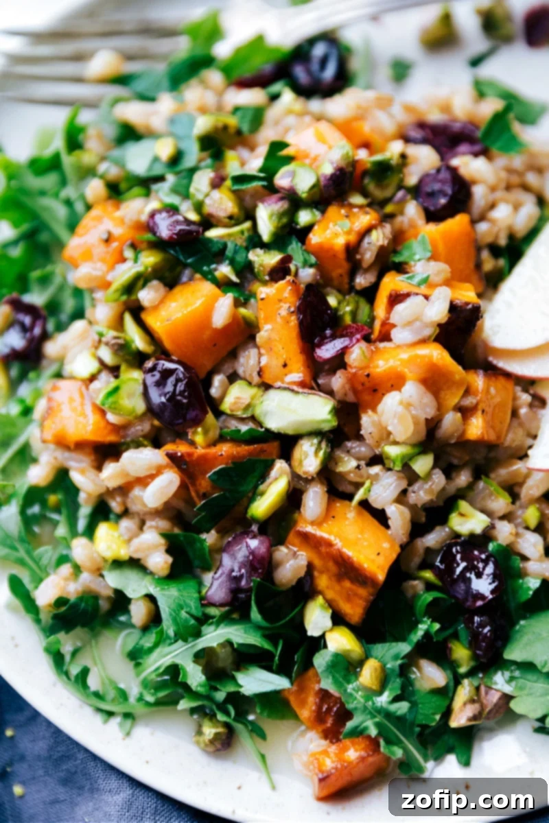 Delicious Sweet Potato Farro Salad, a healthy and fulfilling meal. Close-up view of Sweet Potato-Farro Salad showcasing its vibrant ingredients.