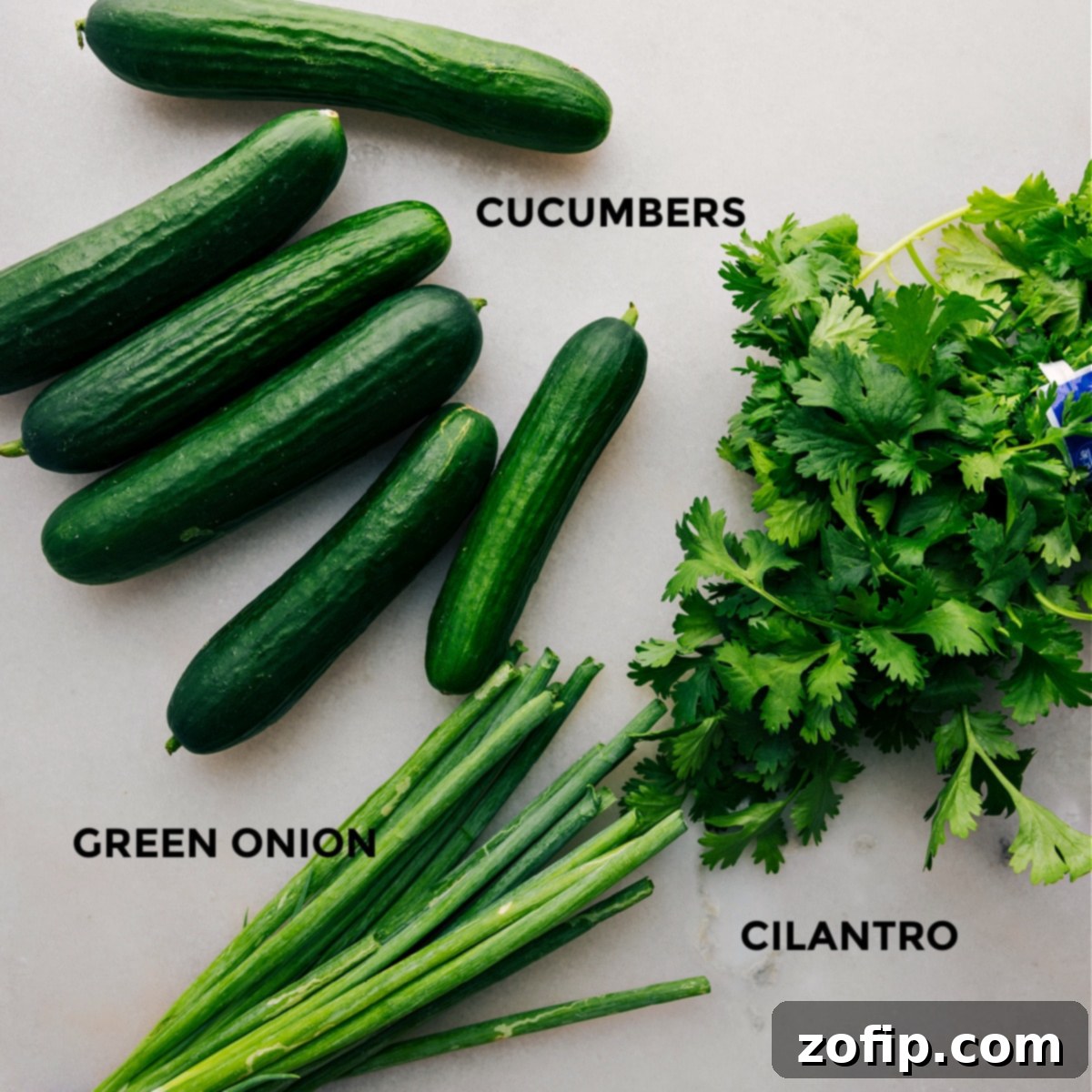Crisp Crushed Cucumber Salad 2 The three primary fresh ingredients for the Smashed Cucumber Salad – crisp cucumbers, vibrant green onions, and fresh cilantro – neatly arranged and ready for preparation.
