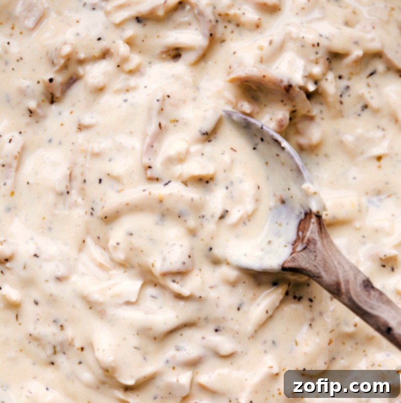 A close-up shot of the rich, enticing chicken gravy, the creamy and savory heart of the Hawaiian Haystacks dish.
