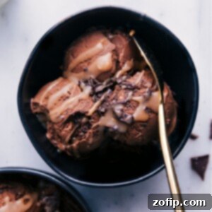 Guilt-Free Ice Cream Delights 3 Close-up of Healthy Chocolate Ice Cream in a bowl