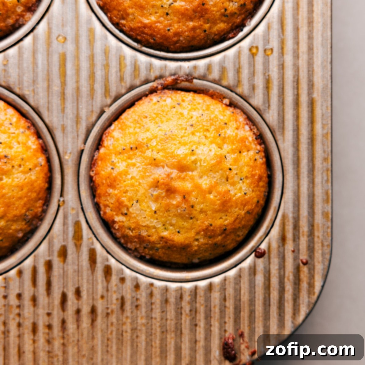 Freshly Baked Lemon Poppy Seed Muffins on a Cooling Rack A batch of golden-brown lemon poppy seed muffins, fresh out of the oven, cooling on a wire rack.