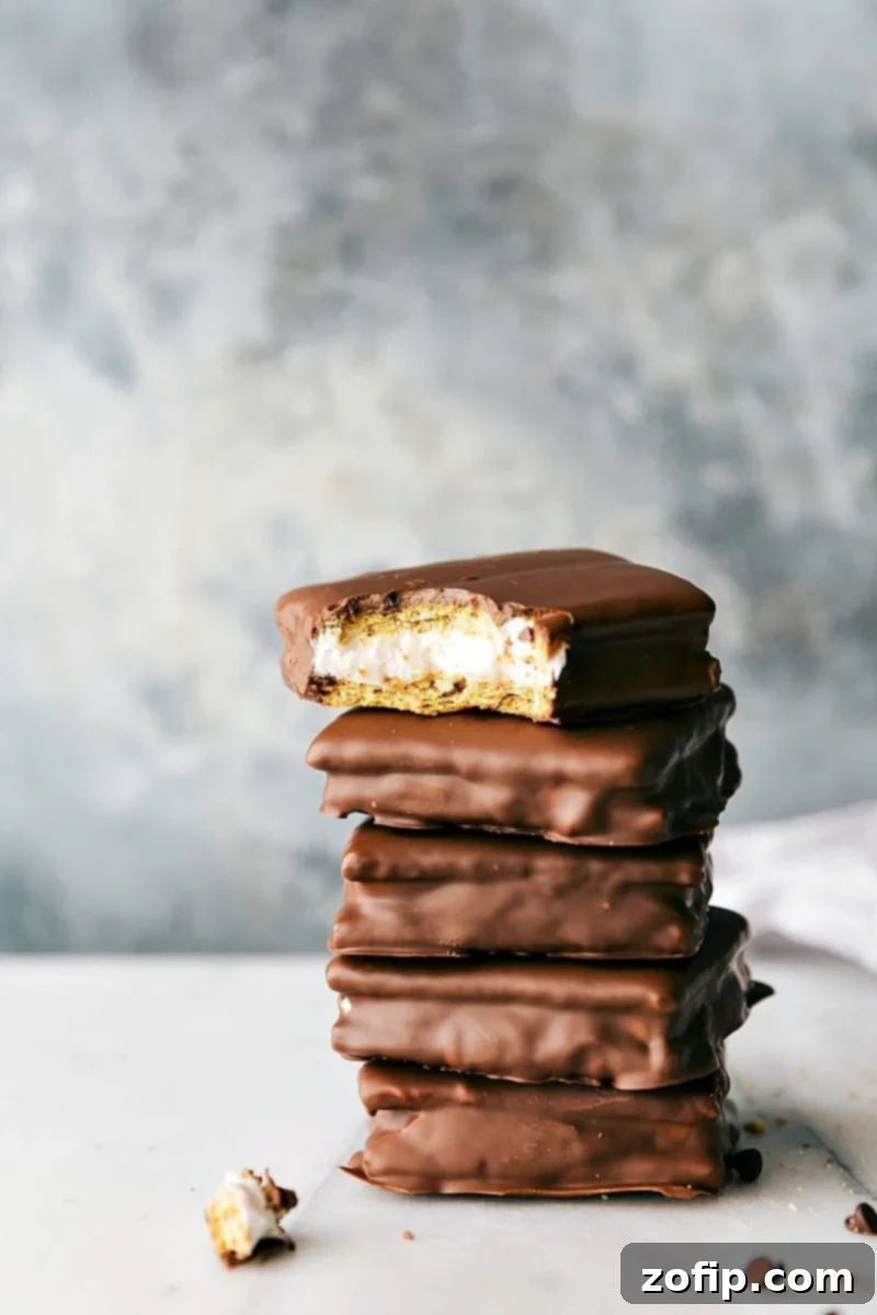 Homemade S'mores Sandwich Cookies with gooey marshmallow and chocolate, alongside other easy Girl Scout cookie copycat recipes like Thin Mints, Samoas, and Tagalongs.