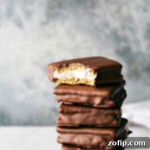 S'mores Sandwich Cookies recipe image