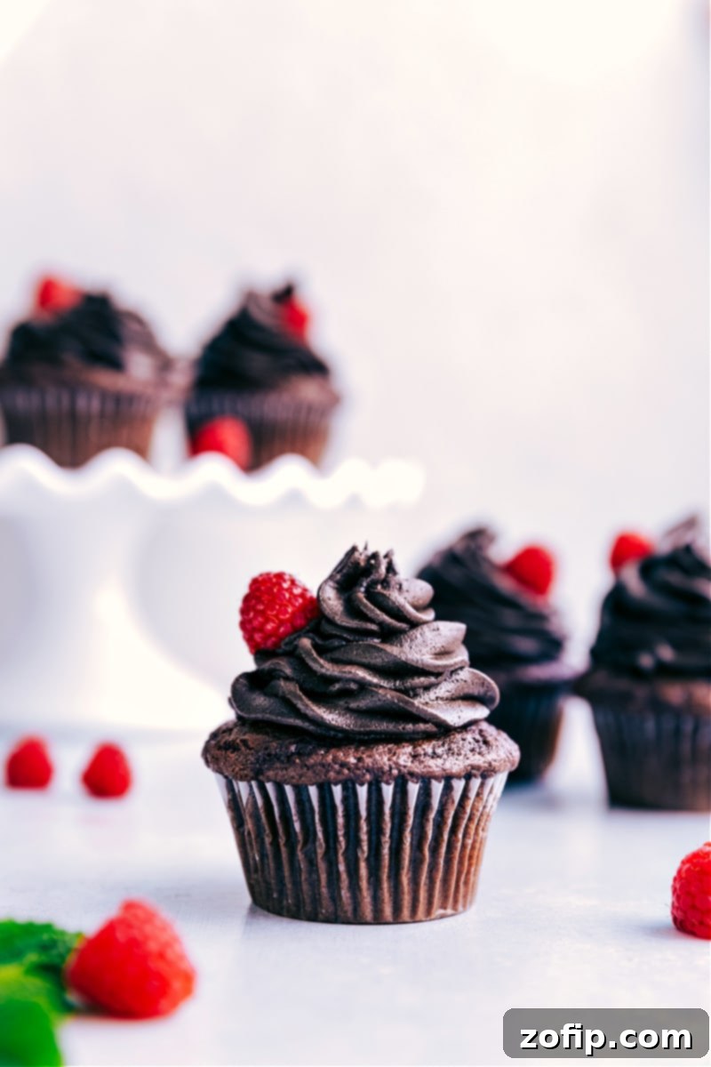 Fudgy chocolate cake mix cupcakes topped with rich chocolate buttercream frosting and a sprinkle of chocolate shavings.