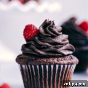 Finished chocolate cake mix cupcakes with buttercream frosting.