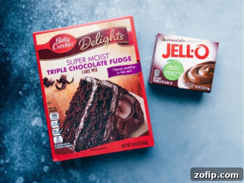 Betty Crocker Super Moist Triple Chocolate Fudge Mix and instant chocolate pudding mix, key ingredients for enhanced flavor.