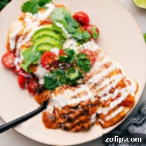 Savory Beef and Cheese Enchiladas 2 A close-up shot of baked Ground Beef Enchiladas, perfectly golden, cheesy, and garnished with fresh cilantro.