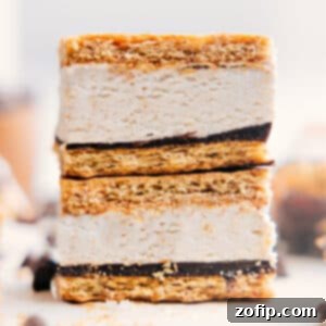 A close-up of a Frozen Protein S'mores bar, showing its distinct layers of graham cracker, chocolate, and creamy protein filling.