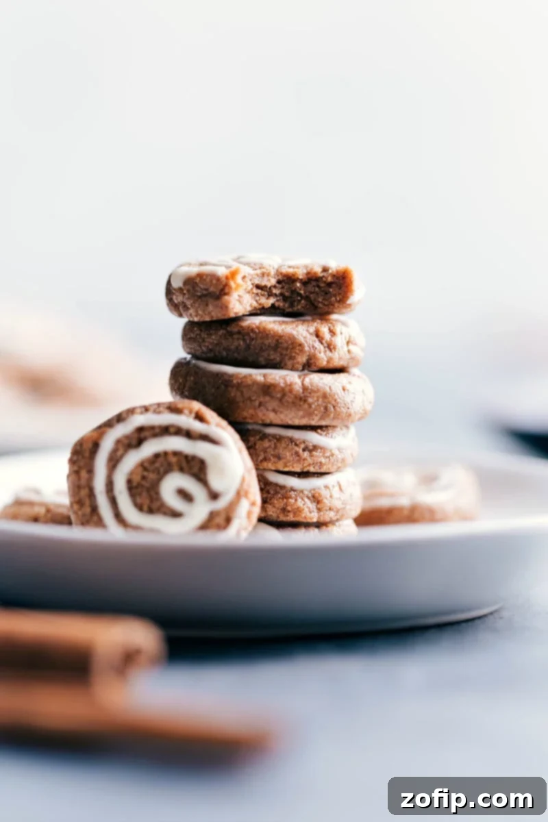 Delicious no-bake protein breakfast cookies, beautifully plated and ready to be enjoyed, showcasing their inviting texture and cinnamon roll-like swirl.