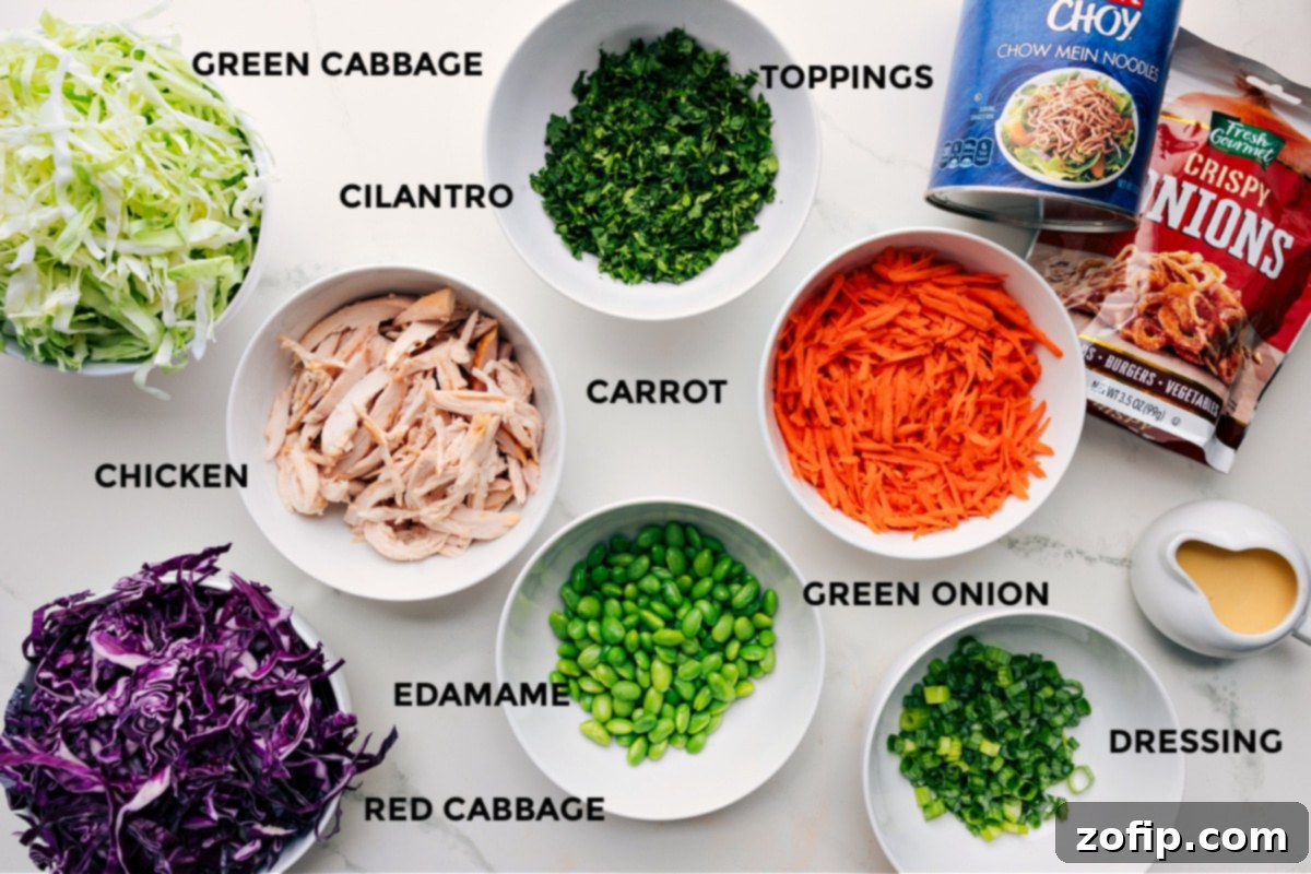 Ingredients In Asian Slaw Recipe All the fresh ingredients for Asian Slaw Recipe meticulously prepped and laid out for easy assembly, including vibrant green and red cabbage, shredded carrots, fresh cilantro, cooked chicken, edamame, and crispy toppings, ready for the mixing bowl.