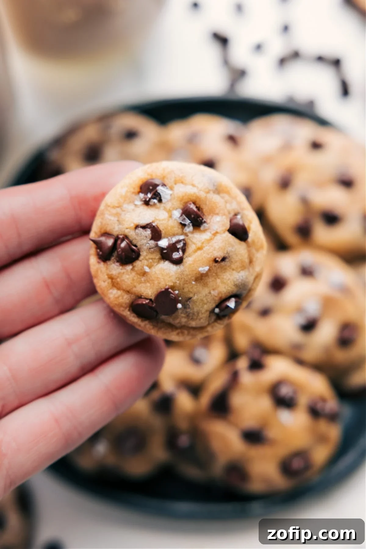 A handful of freshly baked Tiny Chocolate Chip Cookies being held to show their small, perfect size, golden brown with visible melted chocolate chips.