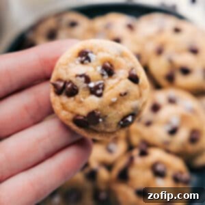 Close-up of a batch of tiny chocolate chip cookies, golden and studded with melted chocolate, on a baking sheet.