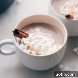 Authentic Mexican Hot Chocolate Recipe 3 Finished steaming beverage in a mug, lavishly topped with whipped cream, marshmallows, and a cinnamon stick.
