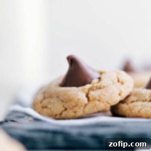 Peanut Butter Blossom Cookies